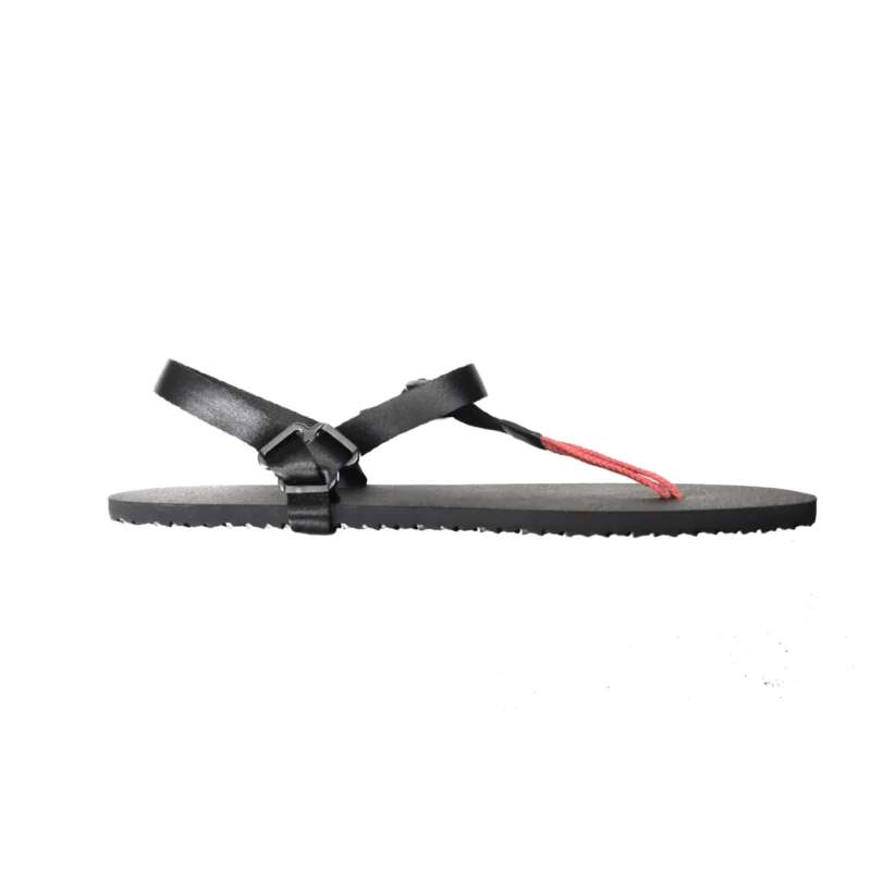 Camber 23-4